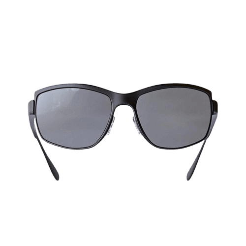 Wayfarer Sunglasses