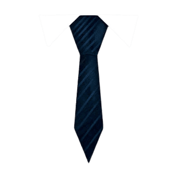 Skinny Tie